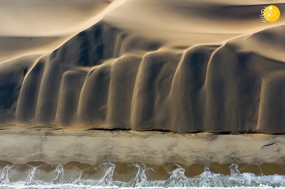 دیدار صحرا و اقیانوس، صحرای نامیب، نامیبیا/ دیوید روژ 