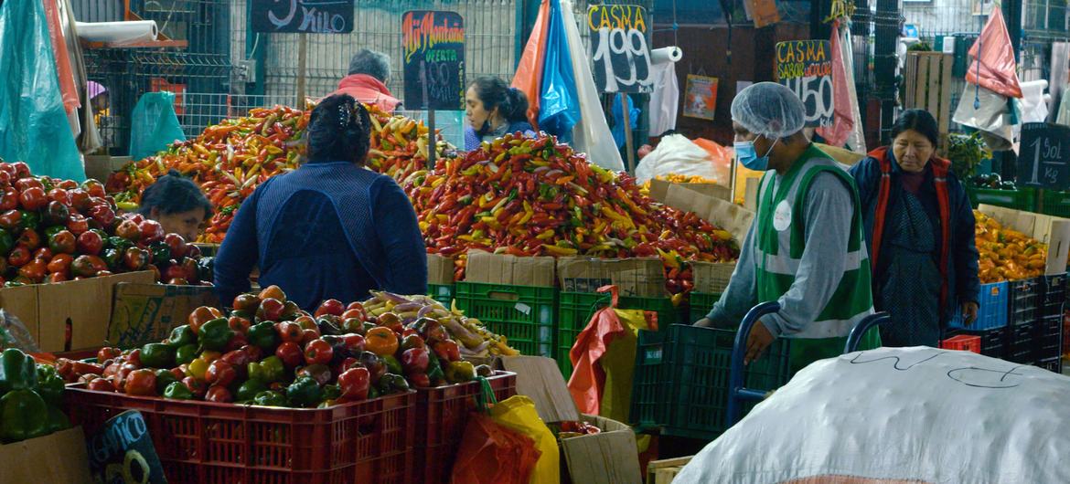 یک نماینده بانک غذا در یک بازار عمده فروشی در لیما (mercado de mayoristas)، پرو، غذا جمع آوری می کند.